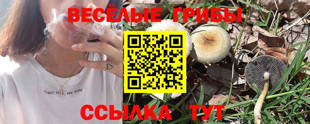Галлюциногенные грибы Psilocybine cubensis  Псилоцибиновые грибы мухоморы  Сухой Лог  Вход с VPN 